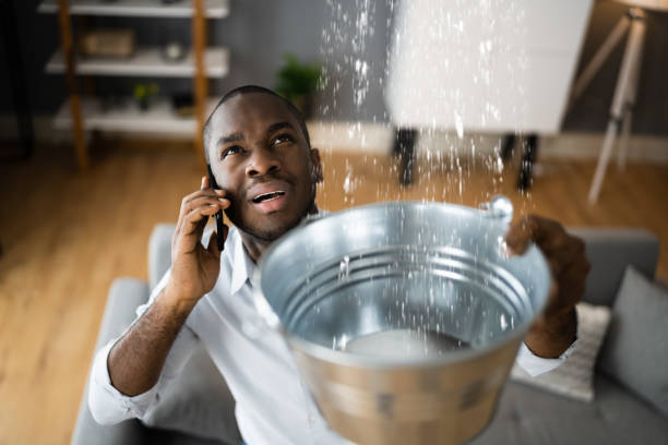 Best Basement water damage restoration  in Leonardo, NJ