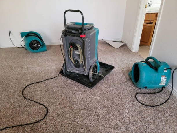 Water damage restoration insurance claims in NJ