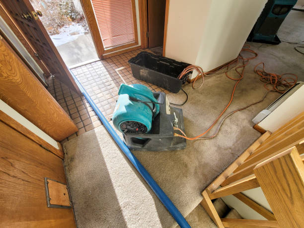 Best Sewage cleanup and water damage restoration  in Leonardo, NJ