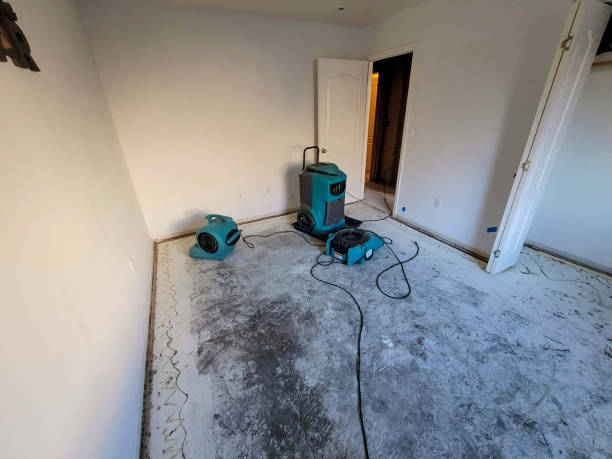 Best Water damage cleanup near me  in Leonardo, NJ