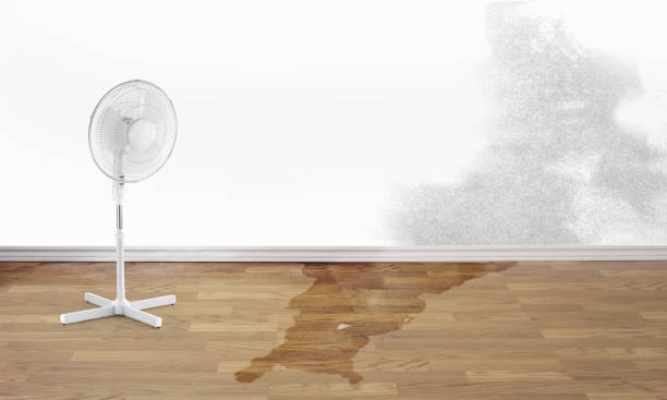 Best Professional water damage repair  in Leonardo, NJ