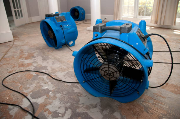 Best Water damage restoration insurance claims  in Leonardo, NJ