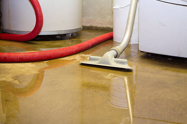 Best Carpet water damage restoration  in Leonardo, NJ