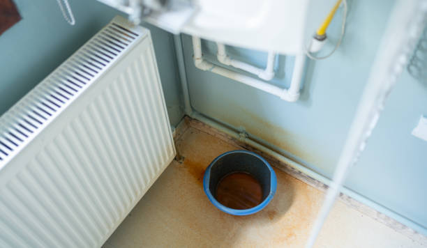 Best Local water damage restoration  in Leonardo, NJ