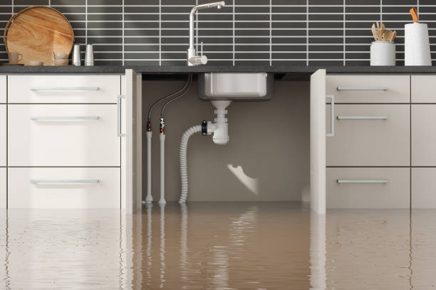 Best Emergency water extraction  in Leonardo, NJ