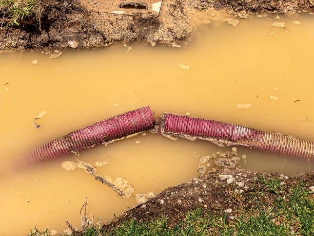 Best 24-hour water damage restoration  in Leonardo, NJ