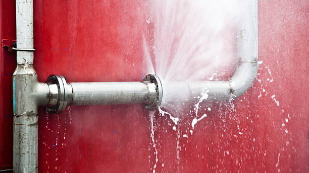 Best Water damage restoration company  in Leonardo, NJ