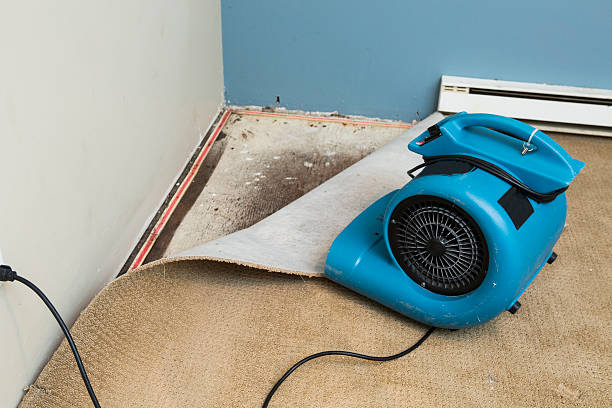 Best Fire Damage Restoration  in Leonardo, NJ